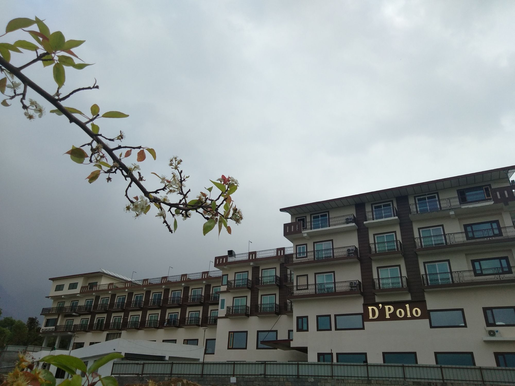D'Polo Club & Spa Resort Дармсала Экстерьер фото